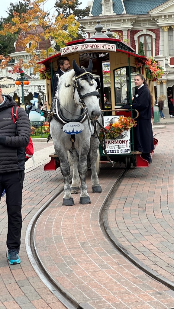 House at a horse drawn trolley in Disneyland Paris with a name badge reading 'Looping'
