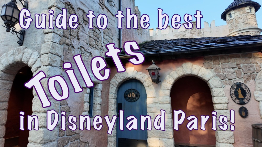 New video: Guide to the toilets in Disneyland&nbsp;Paris